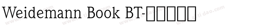 Weidemann Book BT字体转换